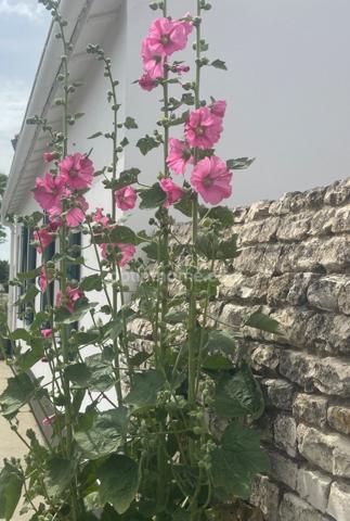 Maison avec dépendance et fort potentiel – RARE AU CALME !