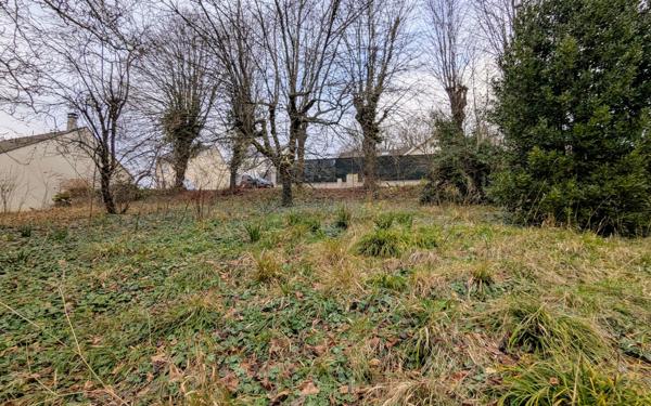 Terrain à vendre    Pomponne