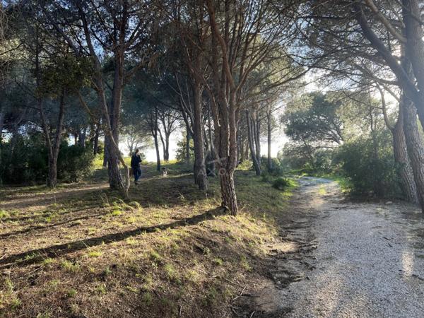 Beau studio avec Loggia fermée et piscine - Le Lavandou (83)