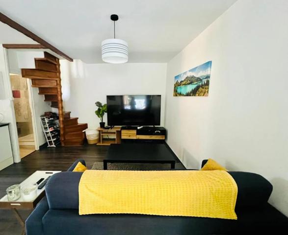 Appartement à louer à Vienne (38200)
