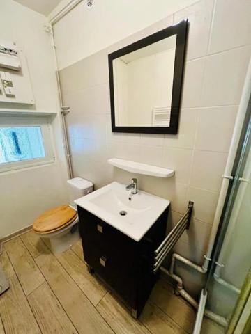 Appartement à louer à Vienne (38200)