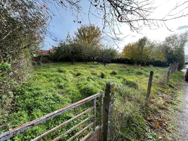 Terrain à bâtir de 350 m² situé dans le bourg de LA FERRIERE BOCHARD
CU opérationnel obtenu