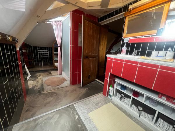 PROPRIÉTÉ de 300m² hab et DEPENDANCES dans PARC 2550m²