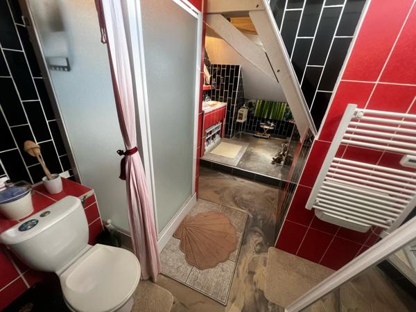 PROPRIÉTÉ de 300m² hab et DEPENDANCES dans PARC 2550m²