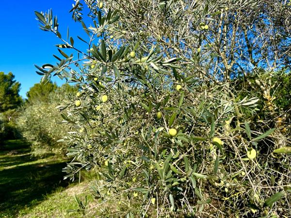 Maison 5 pièces de 112 m²  sur une parcelle de 4000 m²