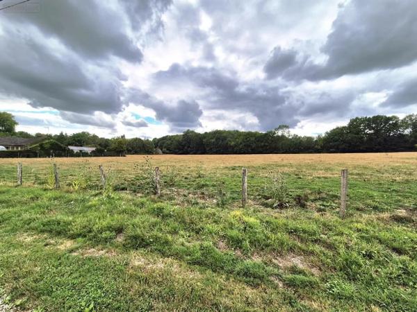 Achat - Terrain à bâtir | Terrain à bâtir La Loge-aux-Chèvres 10140 1236 m 2 1236 m 2
