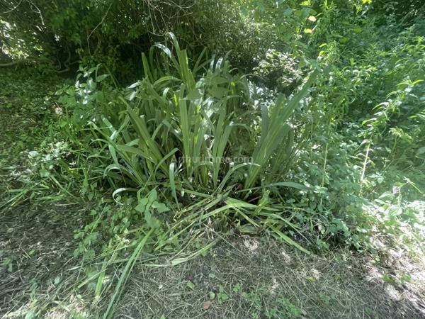 Vente Terrain 1188 m2 à Gisors