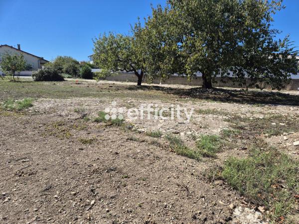 Terrain
        
        - 400 m² 231 000 € *