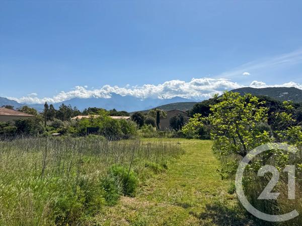 Terrain à vendre  1021 m 2   CALVI  - 202