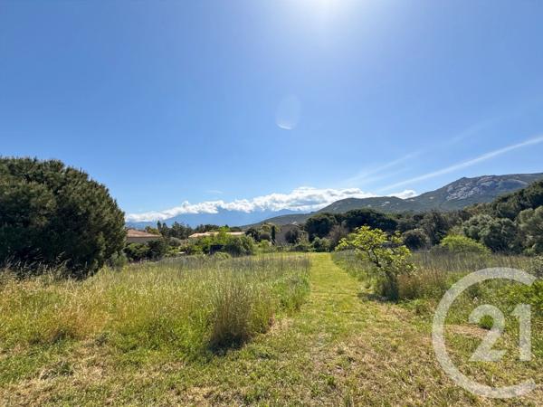 Terrain à vendre  1021 m 2   CALVI  - 202