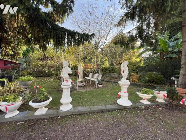 BEAU POTENTIEL SUPERFICIE