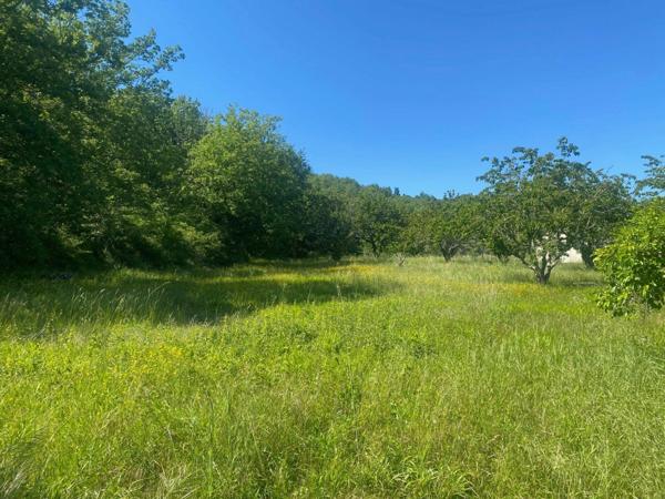 Terrain à vendre    Berrias-et-Casteljau