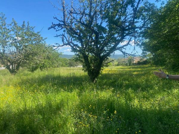 Terrain à vendre    Berrias-et-Casteljau