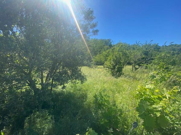 Terrain à vendre    Berrias-et-Casteljau