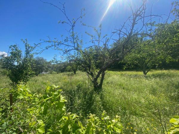 Terrain à vendre    Berrias-et-Casteljau