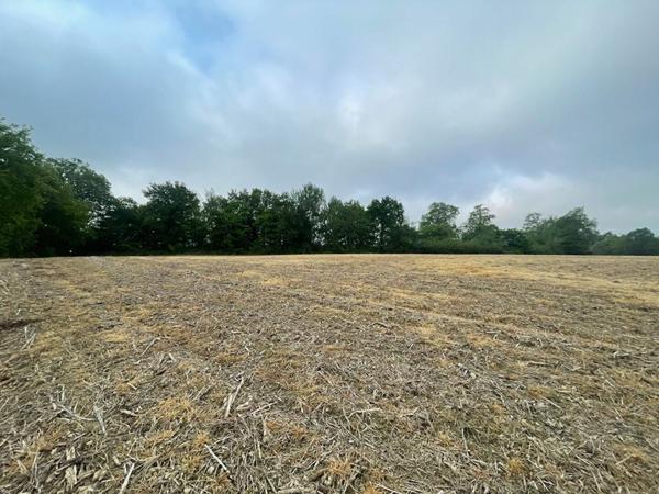 Terrain à vendre    2 500 m2 Toujouse