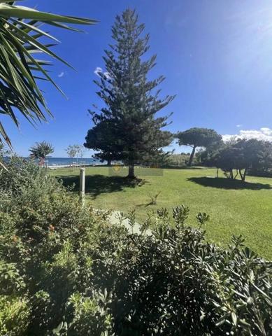 Vente Appartement 1 pièces 26 m2 à Santa-Lucia-Di-Moriani