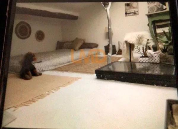 Charmante maison au calme en centre ville