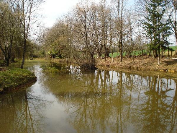 Belle propriété de loisirs et de pêche, très bien entretenue sur 46 a 51ca avec un étang de 1900 m².