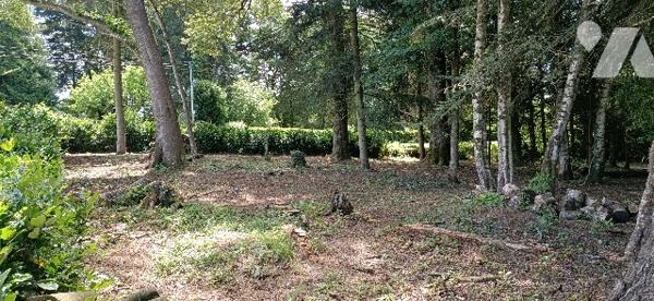 Belle propriété de loisirs et de pêche, très bien entretenue sur 46 a 51ca avec un étang de 1900 m².