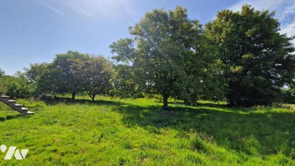 AU CALME SUR 3900 M² DE TERRAIN-124 M² HAB. 4 CHAMBRES