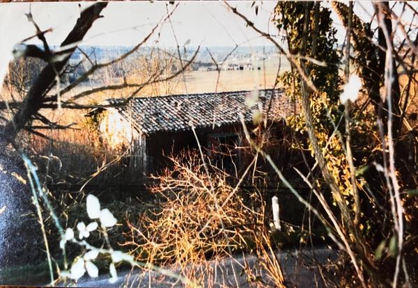 terrain constructible atypique proche de la Nature de 2097 m2 dont 495 m2 constructible