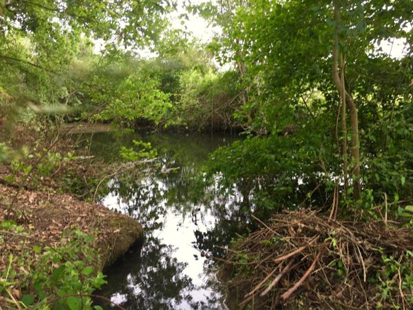 terrain constructible atypique proche de la Nature de 2097 m2 dont 495 m2 constructible