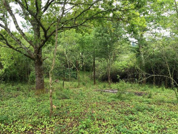 terrain constructible atypique proche de la Nature de 2097 m2 dont 495 m2 constructible