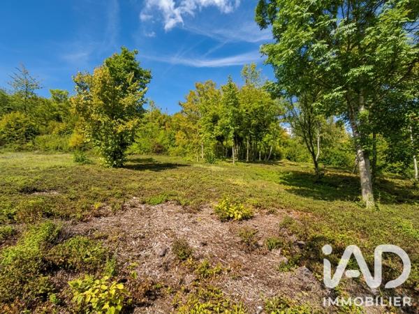 Terrain à vendre 3 620 m² Freneuse
