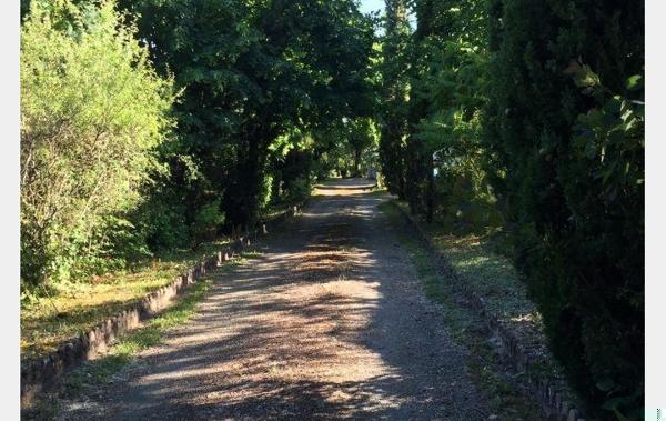 Vente Maison et terrain à bâtir à rénover Castelnau-montratier   