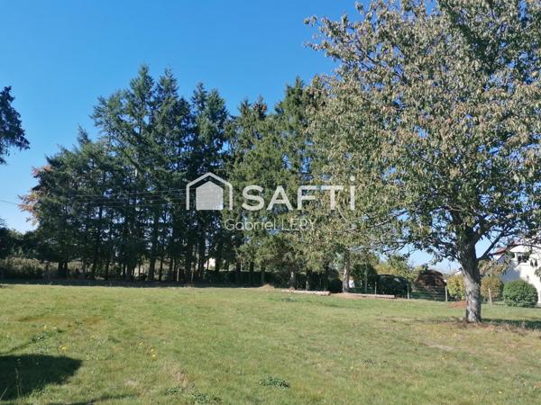 Grand terrain 8800m2 avec ancienne bâtisse