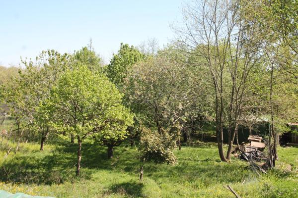 Maison à vendre 3 pièces 65m² proche de LE MAS D'AGENAIS (47) terrain 1100m²