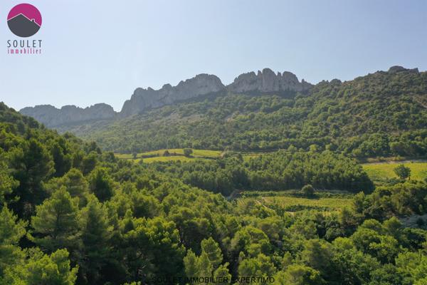 Gigondas (84190) Propriété pour hôtel mariages séminaires