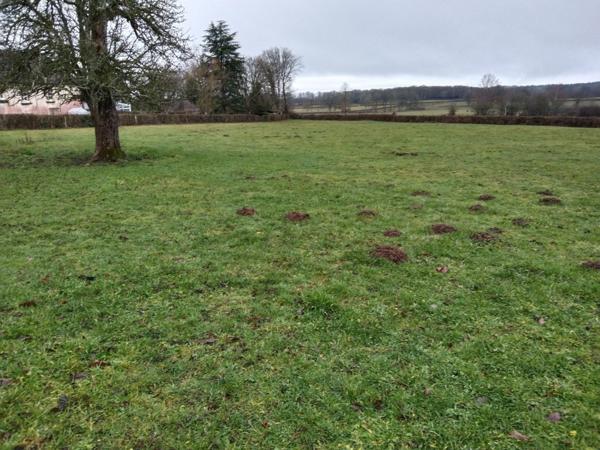 Lot d'une maison  112 m2 A RENOVER  +hangars