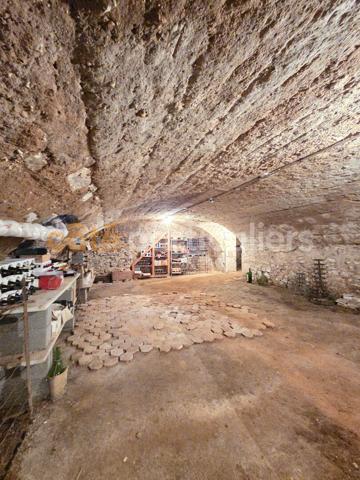 Vente
                Maison353 m² - 12 Pièces -
                    CHATEAUNEUF SUR LOIRE (45110)