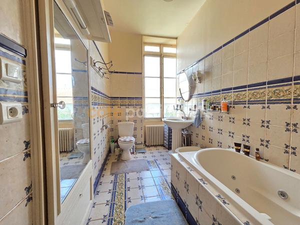 Vente
                Maison353 m² - 12 Pièces -
                    CHATEAUNEUF SUR LOIRE (45110)