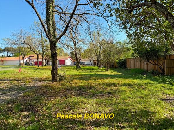 EN PREMIERE LIGNE A 600M DU PORT D'HOURTIN - TERRAIN VIABILISÉ