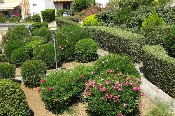 Vente Appartement 2 pièces 25 m2 à Cap d'Agde