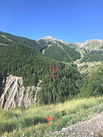 Appartement à AURON (06660)