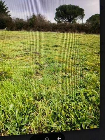 Vente terrain Blaye : 20 000 € - AJP Immobilier Le Bouscat