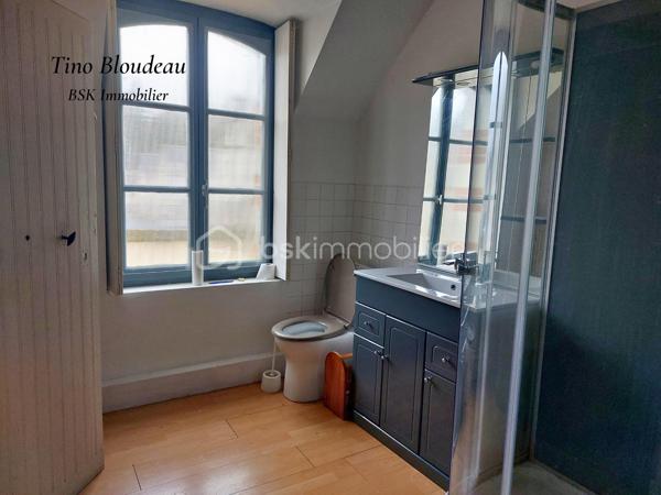 **Baisse de prix ! ** 
Plongez dans le charme authentique du 18ème siècle, au cœur de Limeray, petit village prisé à seulement 10 minutes d’Amboise et des châteaux de la Loire. Un lieu idéal pour savourer l’art de vivre en Touraine, entre patrimoine historique et nature verdoyante.
* La Maison principale
Au rez-de-chaussée, découvrez deux chambres confortables, une salle de bain, un toilette séparé, et surtout un vaste double séjour baigné de lumière, avec ses poutres apparentes, tomettes et cheminée à insert pour des soirées chaleureuses. Enfin, une cuisine fermée et équipée vous offre un espace fonctionnel.
À l’étage, laissez libre cours à votre imagination : deux chambres en enfilade, une salle de bain avec toilette, un bureau et 100m² des combles aménageables avec belle hauteur sous plafond, authentique poutres et tomettes. Un potentiel exceptionnel à révéler !

* Dépendance indépendante
Un véritable cocon comprenant une suite parentale avec salle d’eau récente, toilette et sauna. Pour parfaire cette dépendance, un salon accueillant aux poutres apparentes et tomettes permettra de créer un gite ou location estivale. 

* Extérieur
Une cour intime et entièrement clôturée avec une cave, un garage, et un jardin sans vis-à-vis où la verdure règne en maître. Un havre de paix propice à la quiétude et au bien-être.

** Ses atouts majeurs **
• Caractère authentique et charme préservé.
• Emplacement de choix, au cœur d’un secteur touristique prisé.
• Nombreuses possibilités d’aménagement, et gros potentiel.
• Verdure, intimité et tranquillité absolue.

* Travaux à prévoir
Des travaux sont à envisager pour sublimer cette demeure d’exception. Laissez-vous séduire par son potentiel incroyable !

Ne laissez pas passer cette opportunité unique de devenir propriétaire d’un bien rare au cœur du Val de Loire !