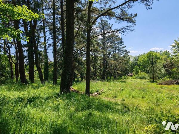 2411 - ANCIEN CENTRE PEDAGOGIQUE DE 600M² A RENOVER SUR UN TERRAIN ARBORE DE 1HA11A28CA