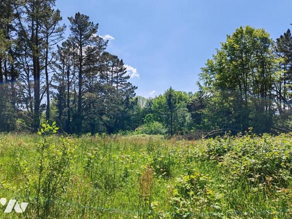 2411 - ANCIEN CENTRE PEDAGOGIQUE DE 600M² A RENOVER SUR UN TERRAIN ARBORE DE 1HA11A28CA