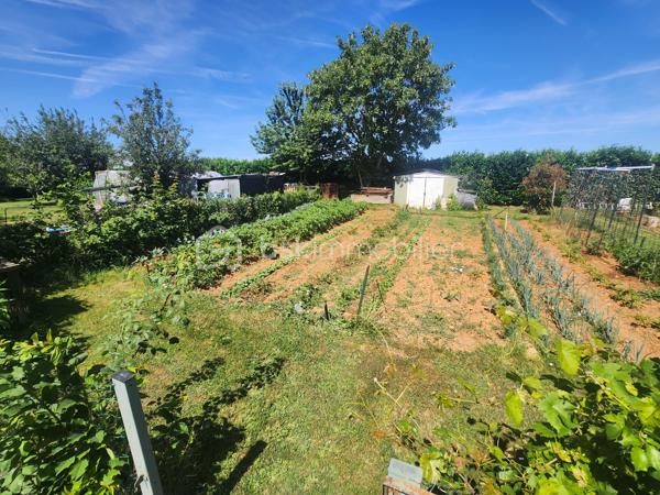 Superbe Maison 106m² 3 chambres à seulement 2 minutes de Rouillé et de sa gare TER, entre Poitiers et Niort, découvrez cette agréable maison familiale offrant de beaux volumes, un environnement calme et un magnifique terrain arboré sans vis-à-vis.

Dès l'entrée, vous serez séduits par une vaste pièce de vie lumineuse de 47 m² comprenant une cuisine aménagée ouverte sur le séjour et le salon. Cet espace convivial se prolonge par une véranda semi ouverte exposée plein sud, idéale pour profiter de la vue sur le jardin en toute saison.

L'espace nuit comprend trois chambres avec placards intégrés, un espace bureau, un WC indépendant ainsi qu'une salle de bains équipée d'une douche, d'une baignoire et de nombreux rangements.

Le sous-sol total de 139 m² constitue un véritable atout. Accessible de plain-pied à l'arrière de la maison, il comprend une buanderie, une pièce pouvant accueillir une chambre d'appoint ou une salle de jeux, un vaste garage permettant de stationner jusqu'à trois véhicules ainsi qu'un atelier. Une cave ventilée de 7,2 m² et un wc séparé qui complète l'ensemble.

Côté confort, la maison bénéficie d'équipements récents :

* Huisseries PVC double vitrage remplacées en 2016
* Isolation des combles par soufflage de laine de verre réalisée en 2018
* Climatisation réversible assurant l'essentiel du chauffage
* Chauffage fioul en complément
* Ballon d'eau chaude électrique de 200 litres

Les consommations énergétiques sont particulièrement maîtrisées avec environ 850 € d'électricité et 200 € de fioul par an.

À l'extérieur, vous profiterez d'un superbe terrain clos et arboré de 3 047 m², véritable paradis pour les amoureux de nature et de jardinage. De nombreux arbres fruitiers agrémentent la propriété : pommiers, poiriers, pruniers, pêchers, mirabelliers, figuier, noyers, cerisiers ainsi que des framboisiers. Un potager, un abri de jardin et une haie végétale entourant la propriété garantissent calme et intimité.

Assainissement individuel avec une simple mise en conformité mineure à prévoir (ajout d'un regard en sortie de système).

Les atouts :
✔ Pièce de vie de 47 m²
✔ Sous-sol complet de 139 m²
✔ Terrain clos de plus de 3 000 m²
✔ Nombreux arbres fruitiers
✔ Isolation récente
✔ Double vitrage PVC
✔ Climatisation réversible
✔ Faibles consommations énergétiques
✔ À 25 minutes de Poitiers
✔ Gare TER et commerces à proximité

Une maison entretenue, fonctionnelle et chaleureuse, idéale pour une famille recherchant espace, tranquillité et proximité des commodités.

Cette version met davantage en avant les économies d'énergie, le terrain exceptionnel et le sous-sol de 139 m², qui sont selon moi les arguments les plus vendeurs du bien.