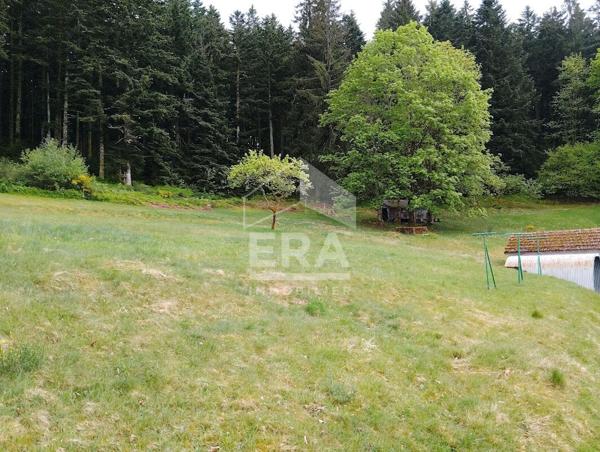 Propriété  Gerardmer  + dépendances  sur  2695m2 de terrain
