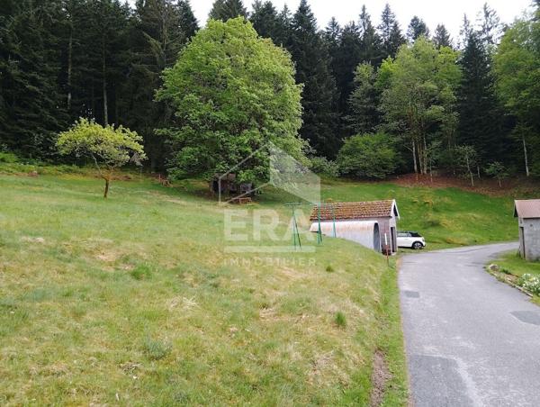 Propriété  Gerardmer  + dépendances  sur  2695m2 de terrain