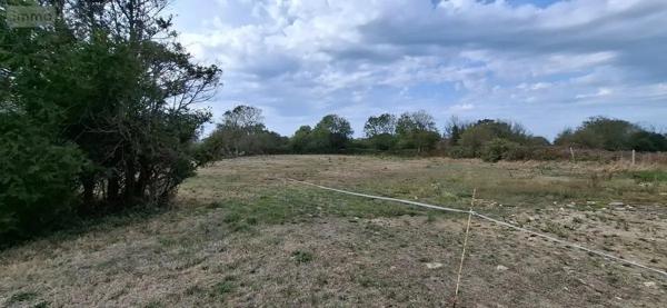 Achat - Maison Vicq-sur-Mer 50330 35 m 2 7605 m 2