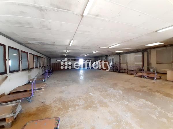Local Commercial - 920 m²