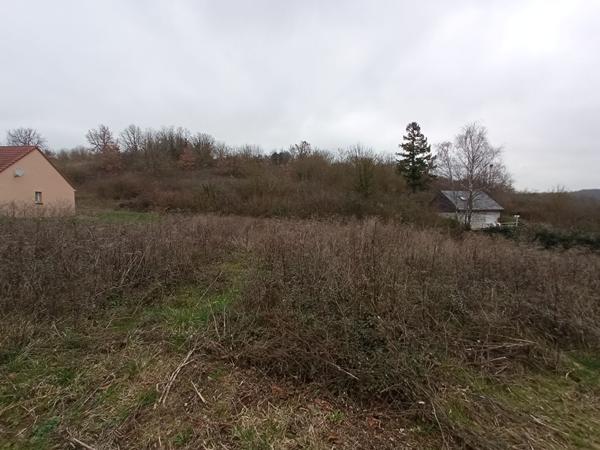 Terrain 2783 m2