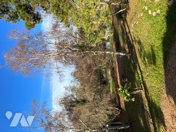 Maison de caractère – 185 m² – Environnement privilégié de l’agglomération chartraine.